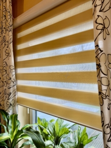 Roleta varieta mini zebra